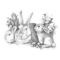 Sketching Made Easy Bunnies