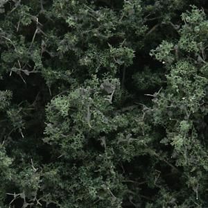 FINE LEAF FOLIAGE DARK GREEN