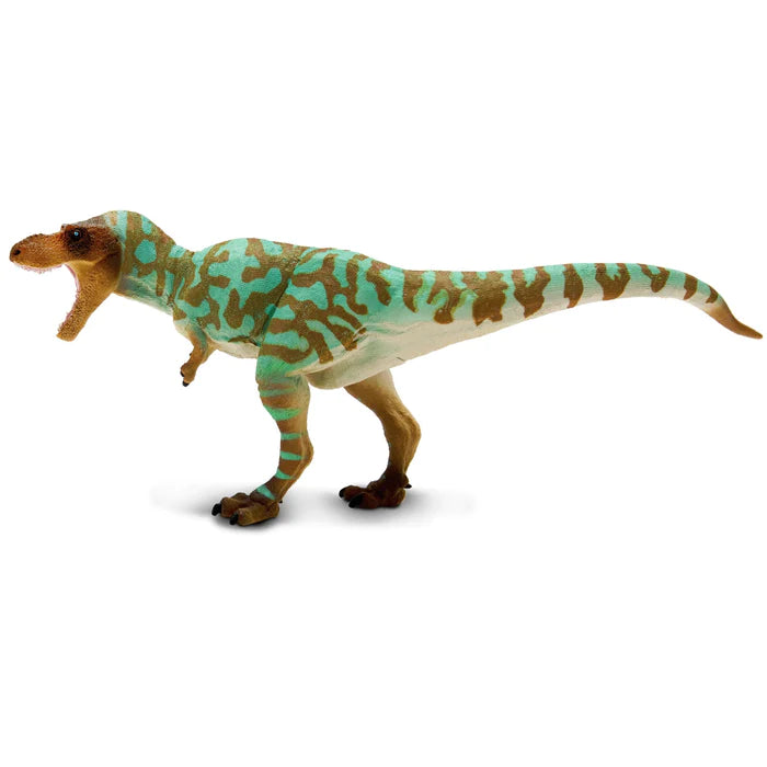 Albertosaurus Dinosaur