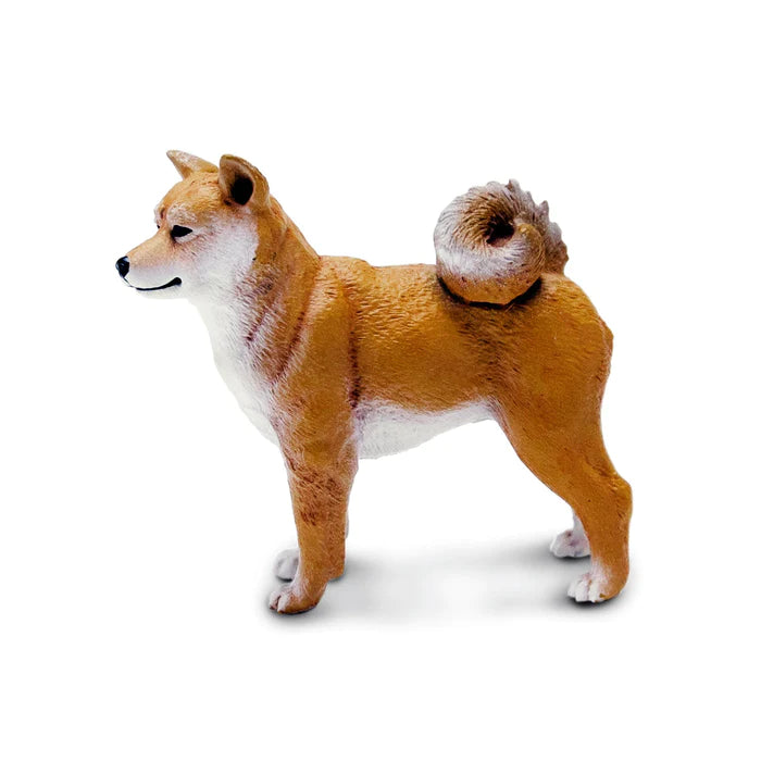 Shiba Inu Dog Hobby and Toy Central