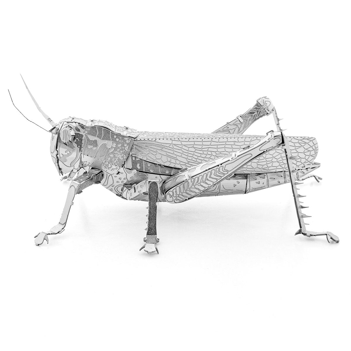 Metal Earth Grasshopper