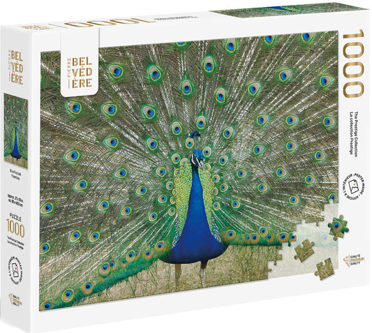 Blue Peacock 1000pc