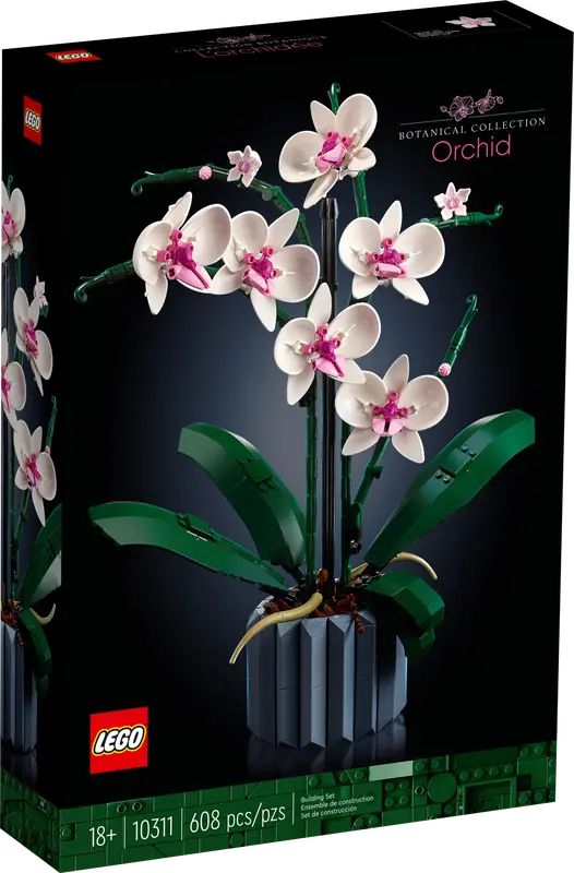 Botanical Collection Orchid
