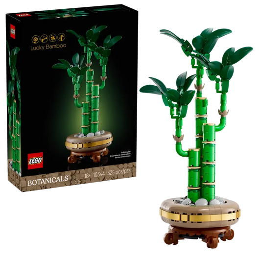 Botanicals Lucky Bamboo