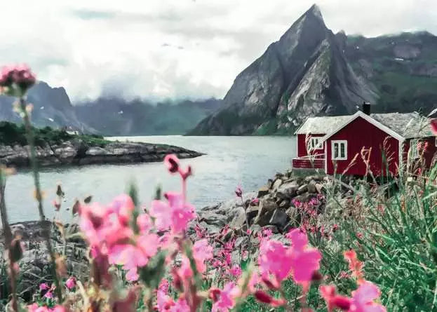 Scandinavian Places Lofoten, Norway 1000pc
