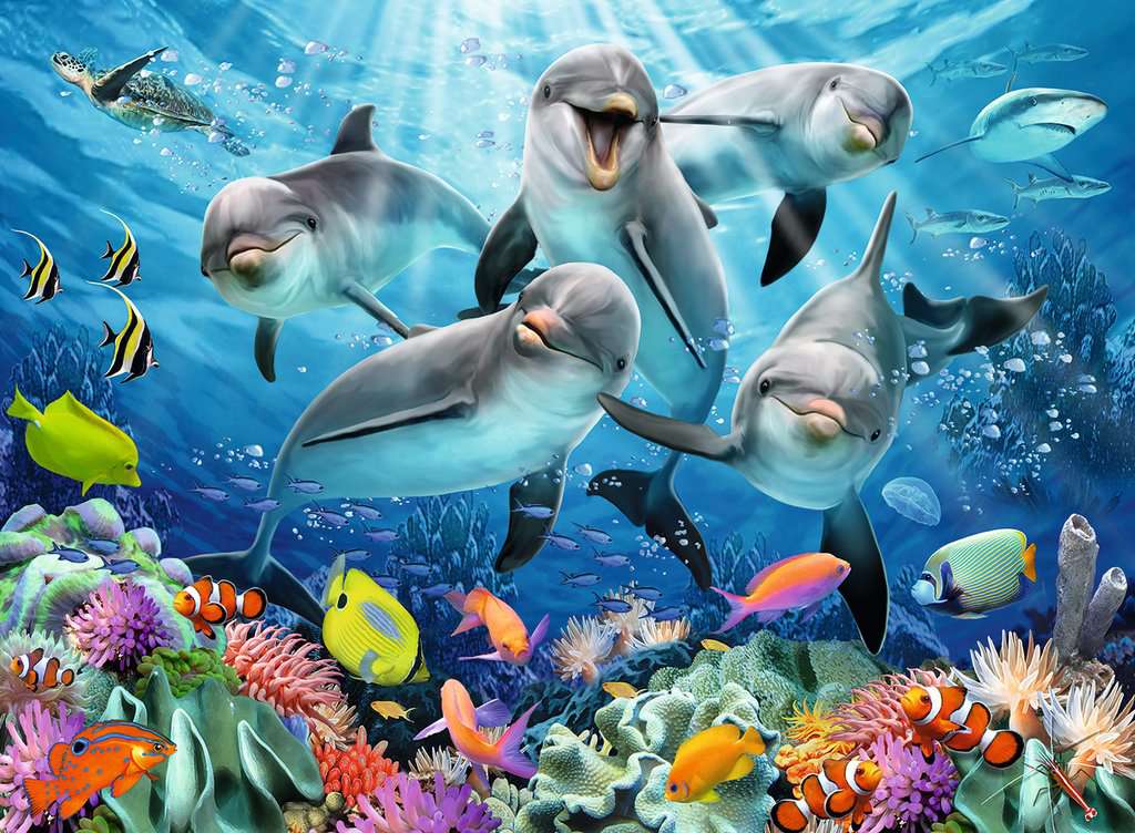 Dolphins in the Coral Reef 500pc