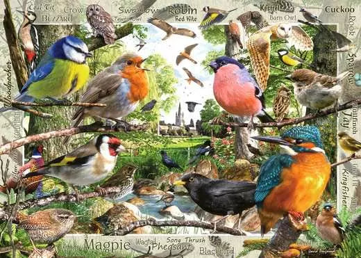 Our Feathered Friends 1000pc jigsaw puzzle