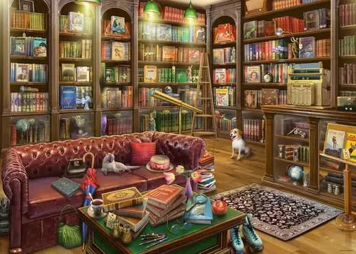 Reading Room 1000pc
