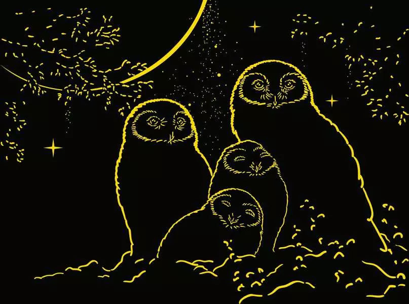 Owls in the Moonlight 500pc