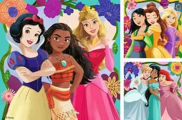 Disney Princess 3X49pc