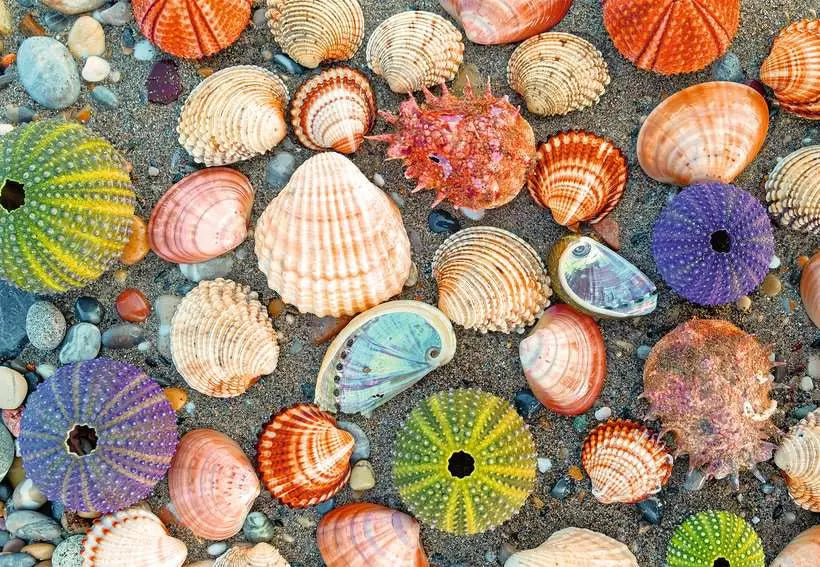 By the Seashore 300pc