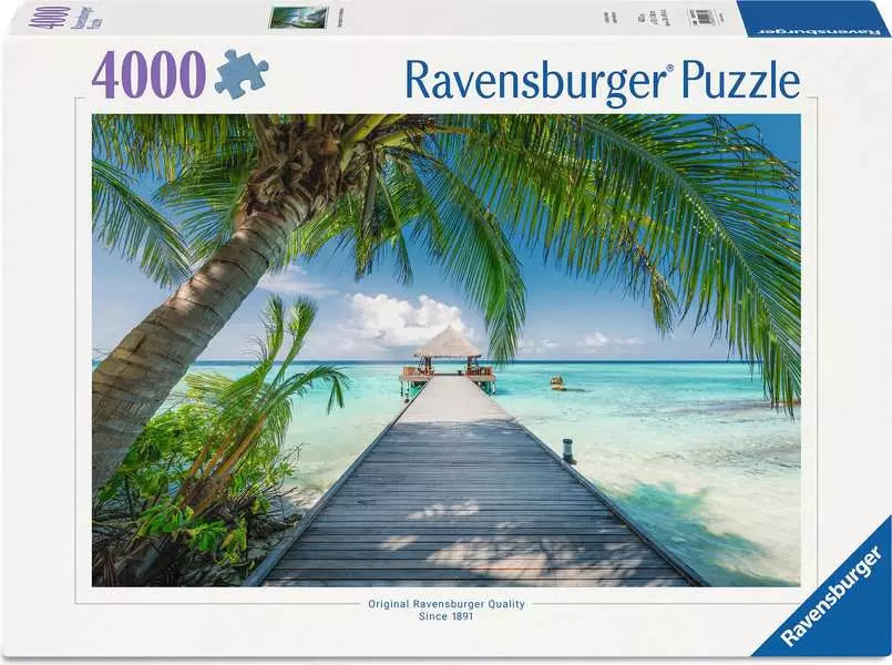 Dream Beach in the Maldives 4000pc
