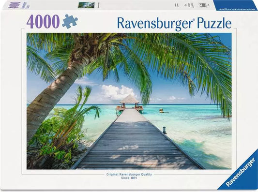 Dream Beach in the Maldives 4000pc