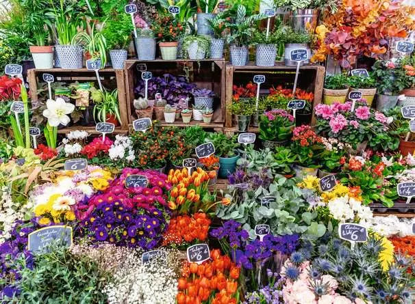 Flower Market, France 500pc