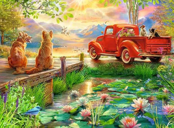 Summer  Love 500pc