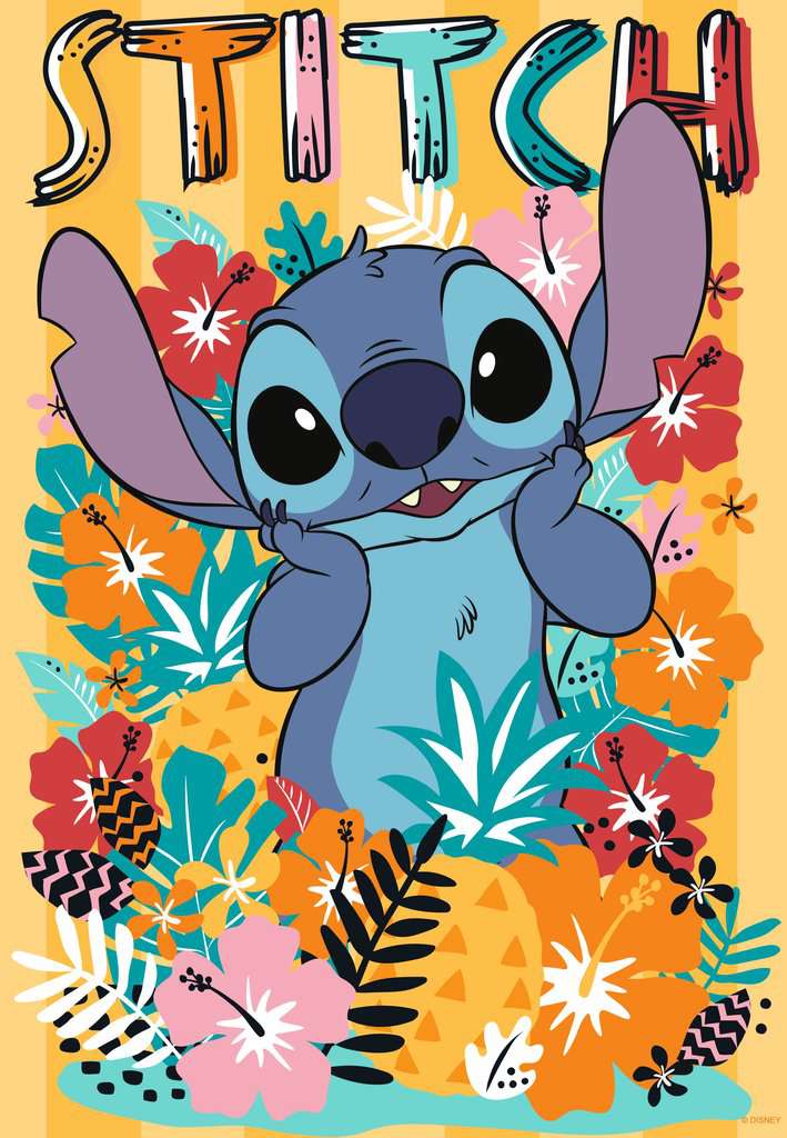 Stitch 300pc
