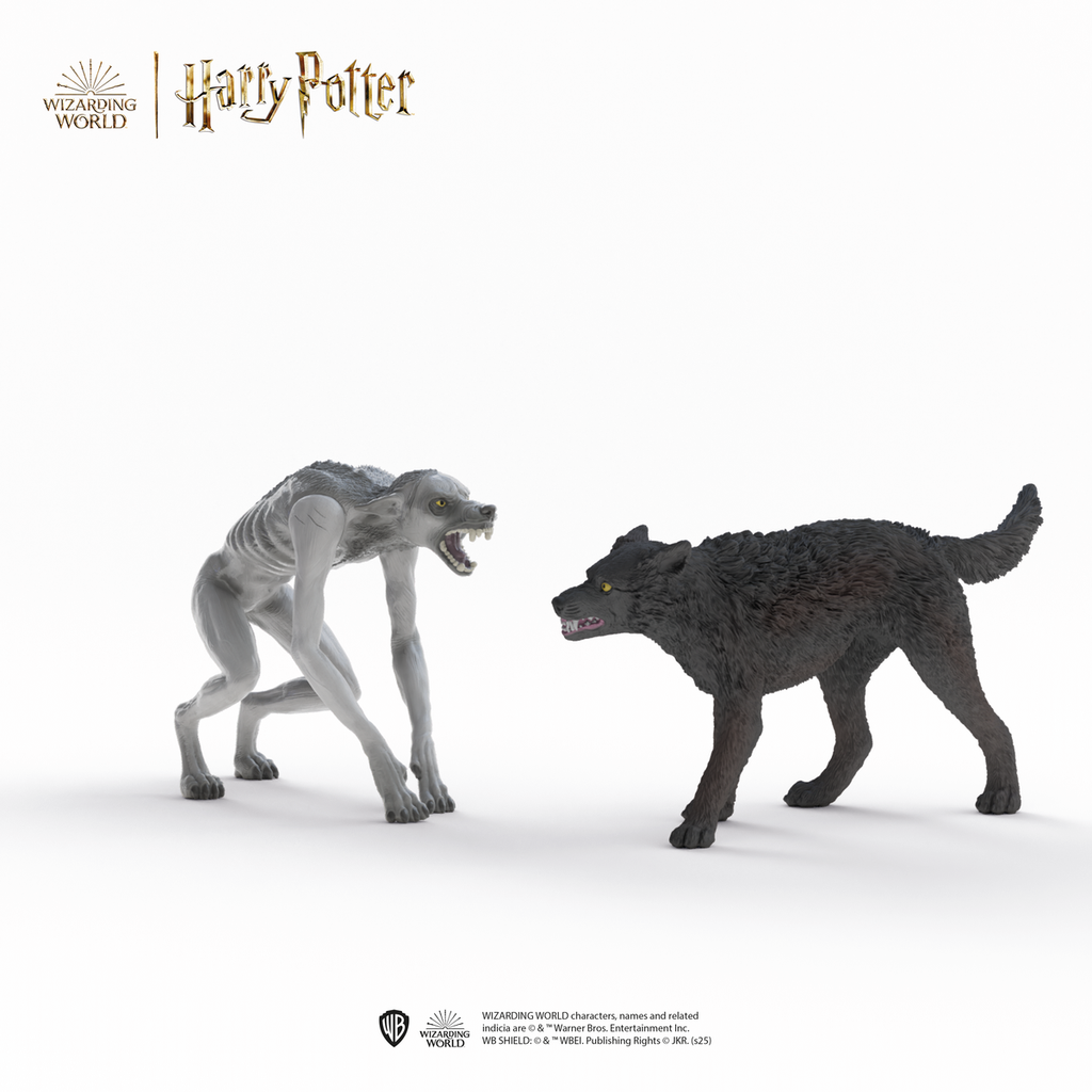 Harry Potter Werewolf vs. Animagus