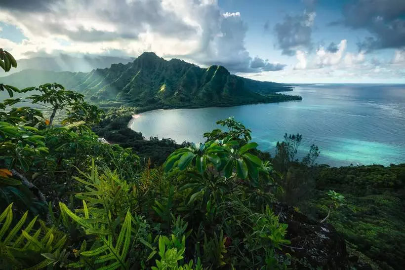 Hawaiian Viewpoint 5000pc jigsaw puzzle