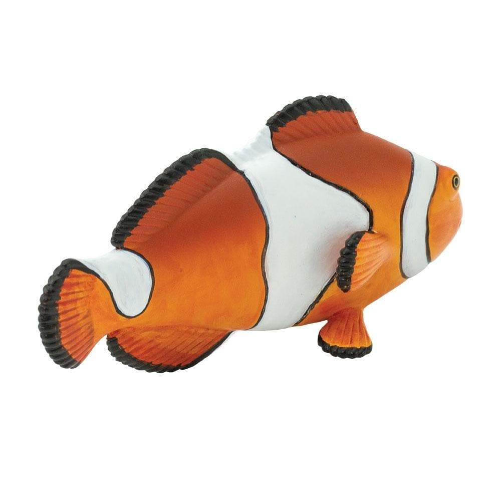 Clownfish Anemonefish