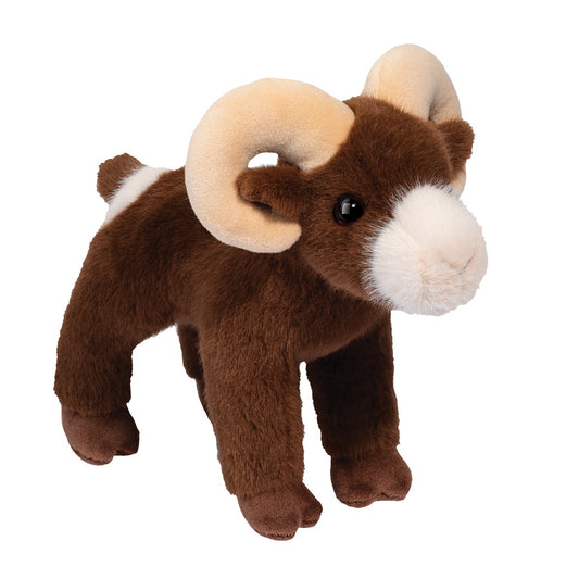 Burly Big Horn Sheep