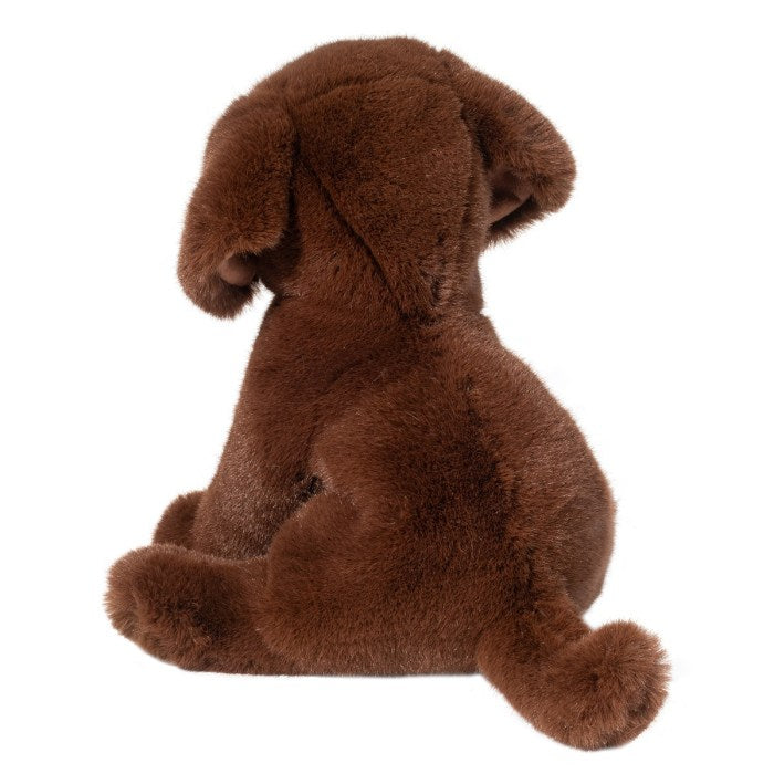 Zoom Chocolate Lab