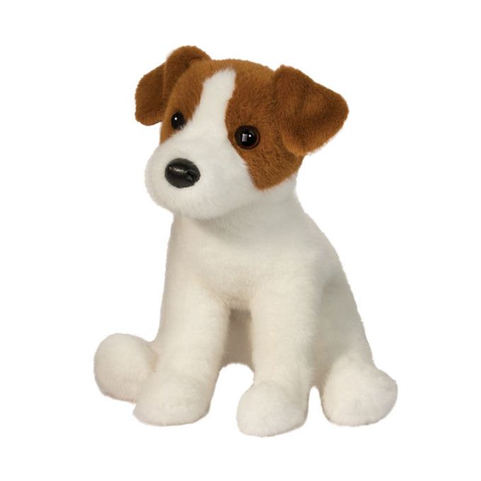 Fiona Jack Russel Terrier