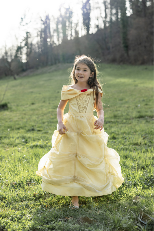 Once Upon a Princess Beauty Dress Size 5-6
