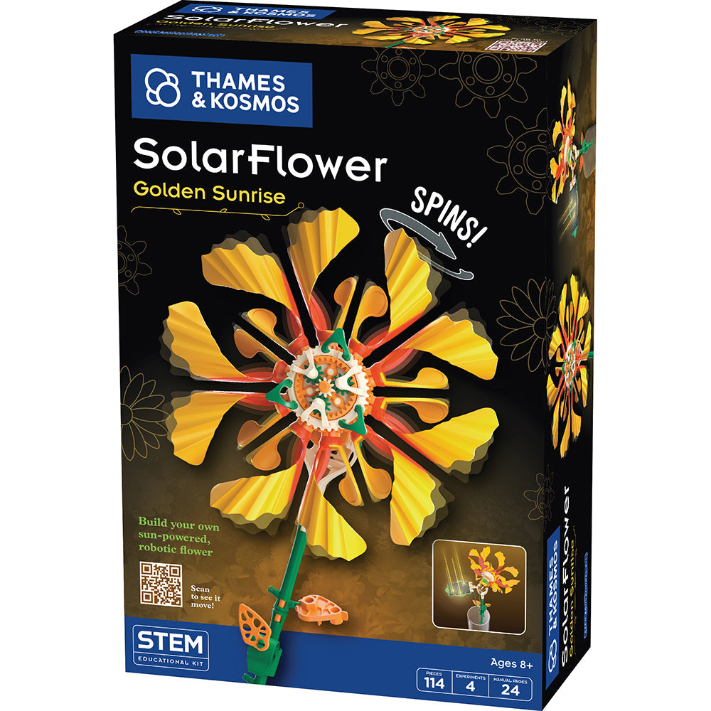 Solar Flower Golden Sunrise