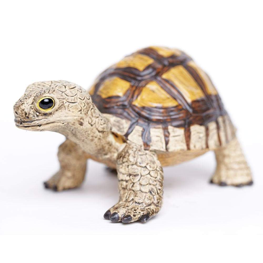 Tortoise