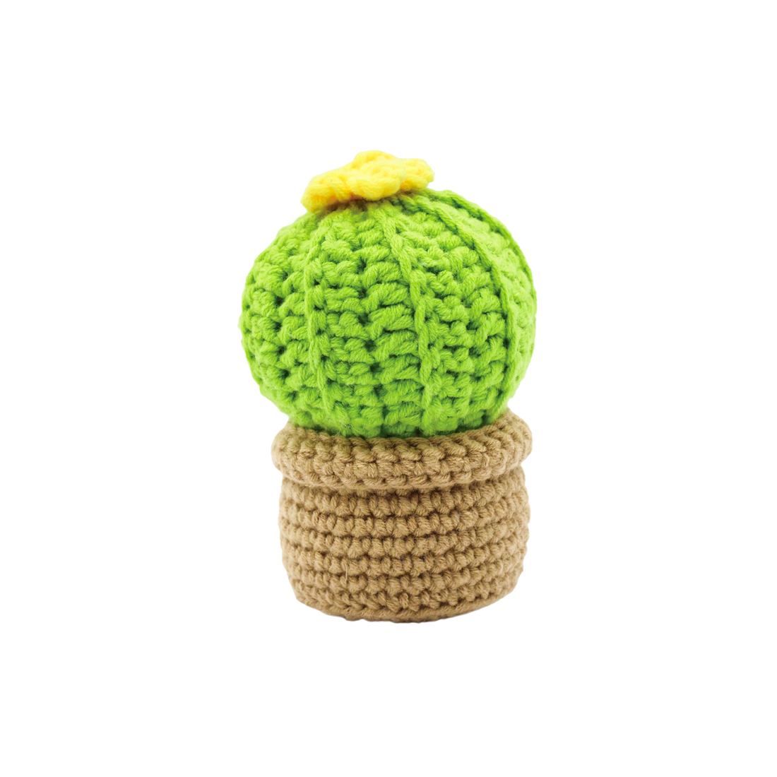 Mini Cactus Crochet Kit