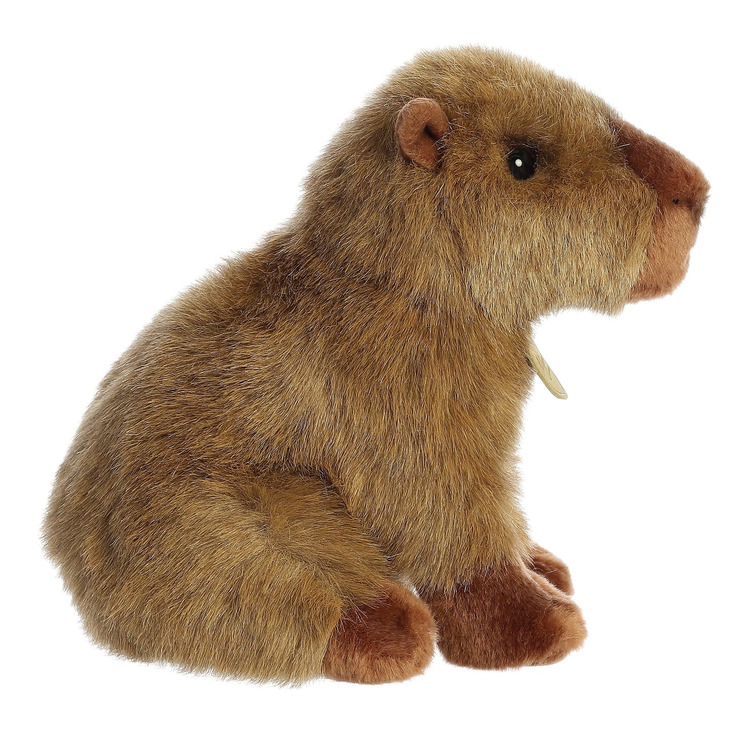 Miyoni Capybara 9"