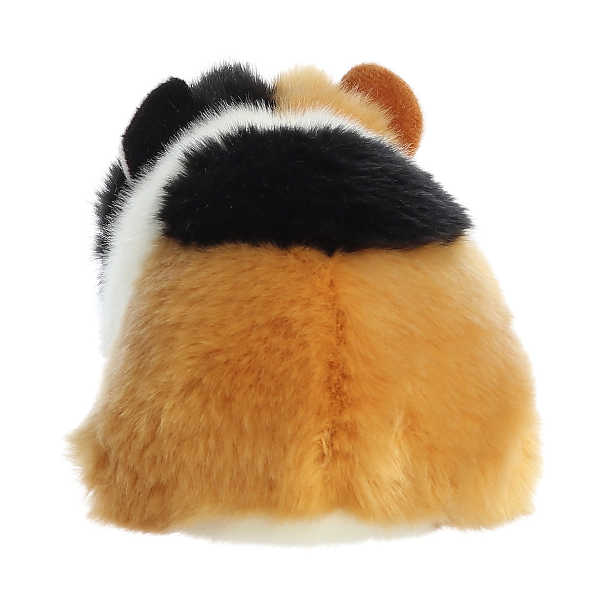 Miyoni American Guinea Pig 7.5"