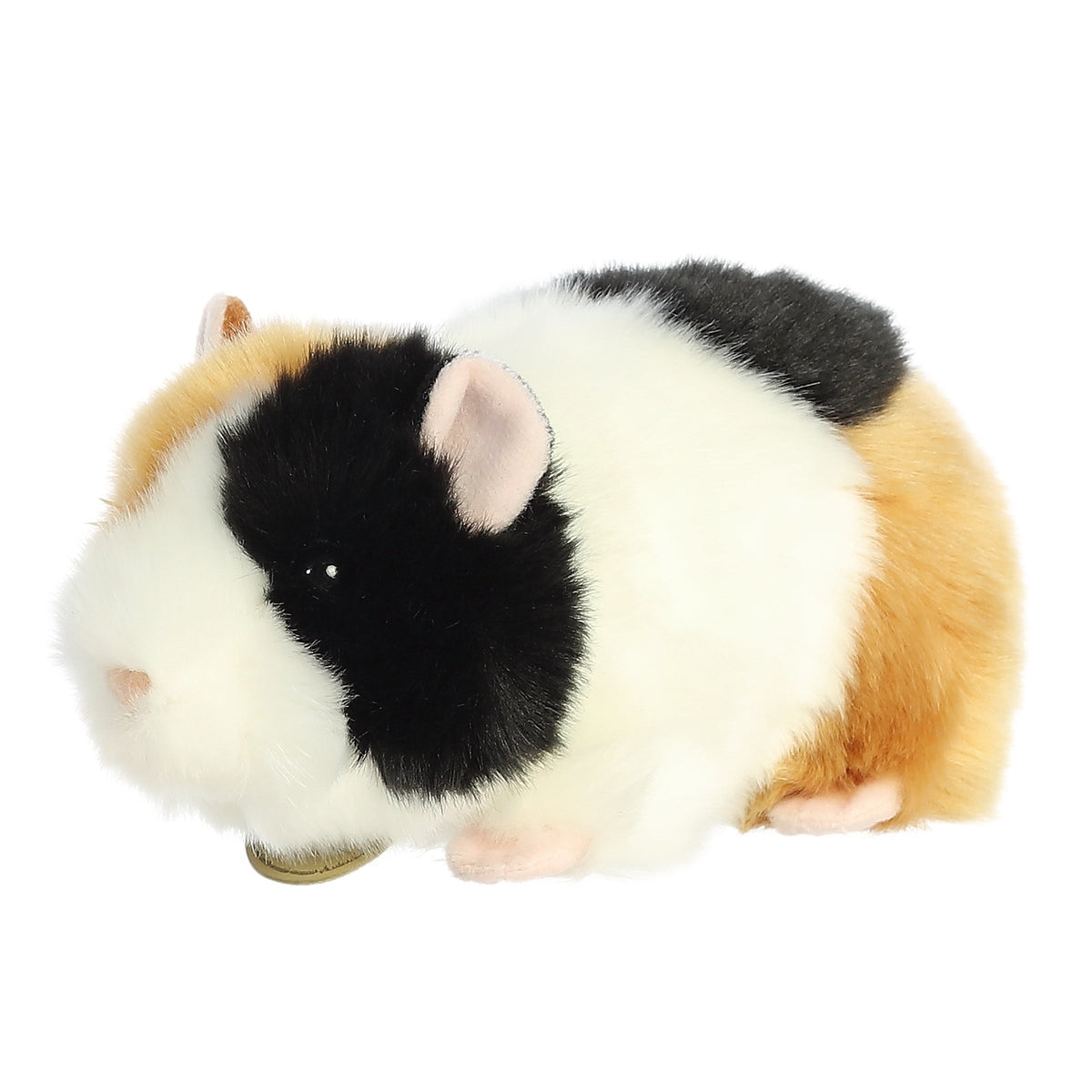 Miyoni American Guinea Pig 7.5"