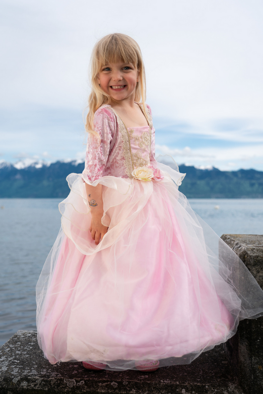 Pink Rose Princess Dress Ages 3-4