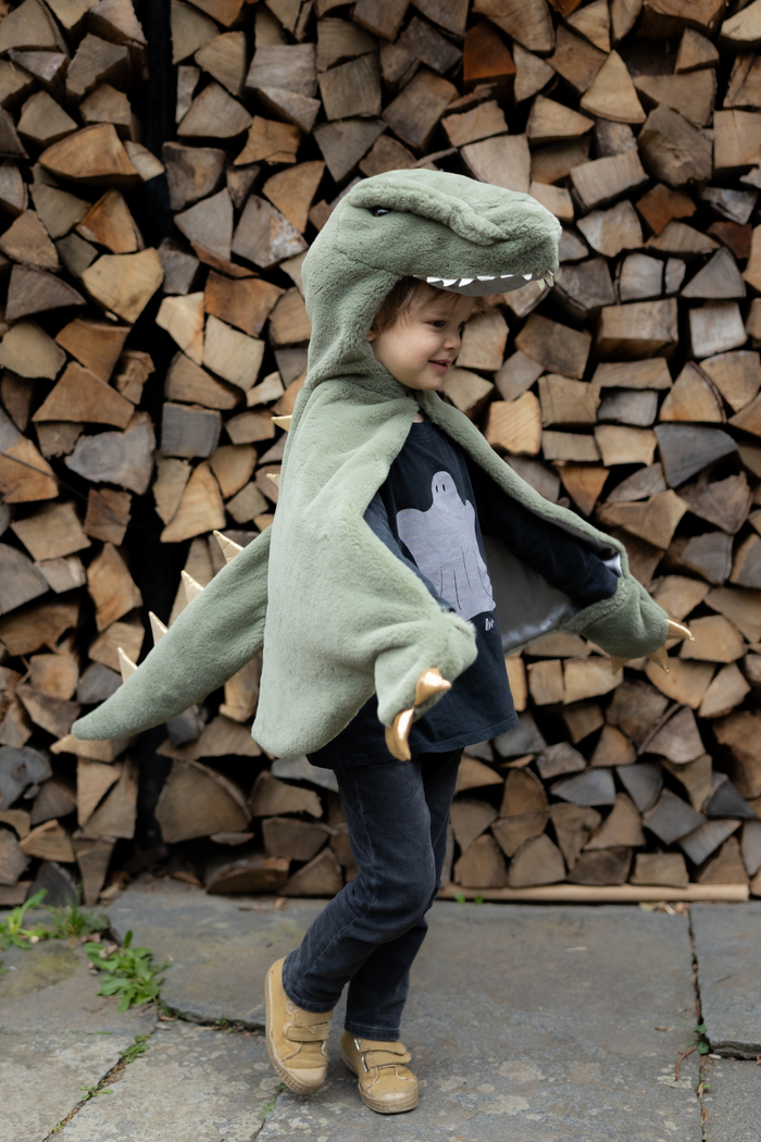 T-Rex Cuddle Cape Size 2T