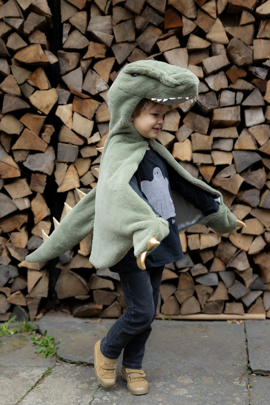 T-Rex Cuddle Cape Size 2T