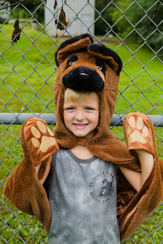 German Shepherd Dog Cuddle Cape Size 4-6