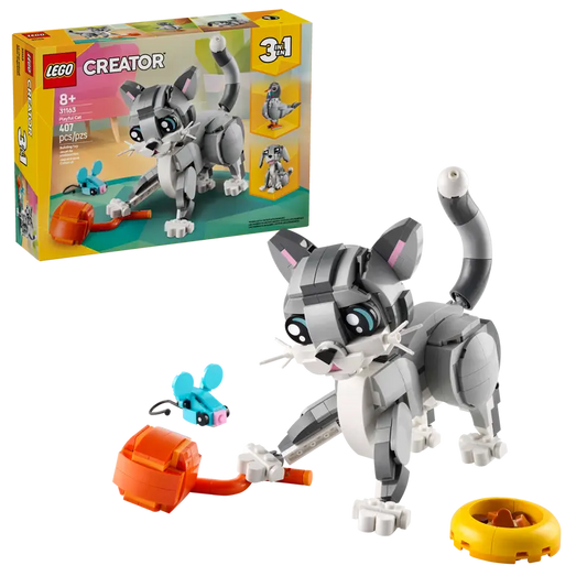 Creator Playful Cat