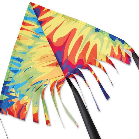 Fringe Delta Kite 24" Tie Dye