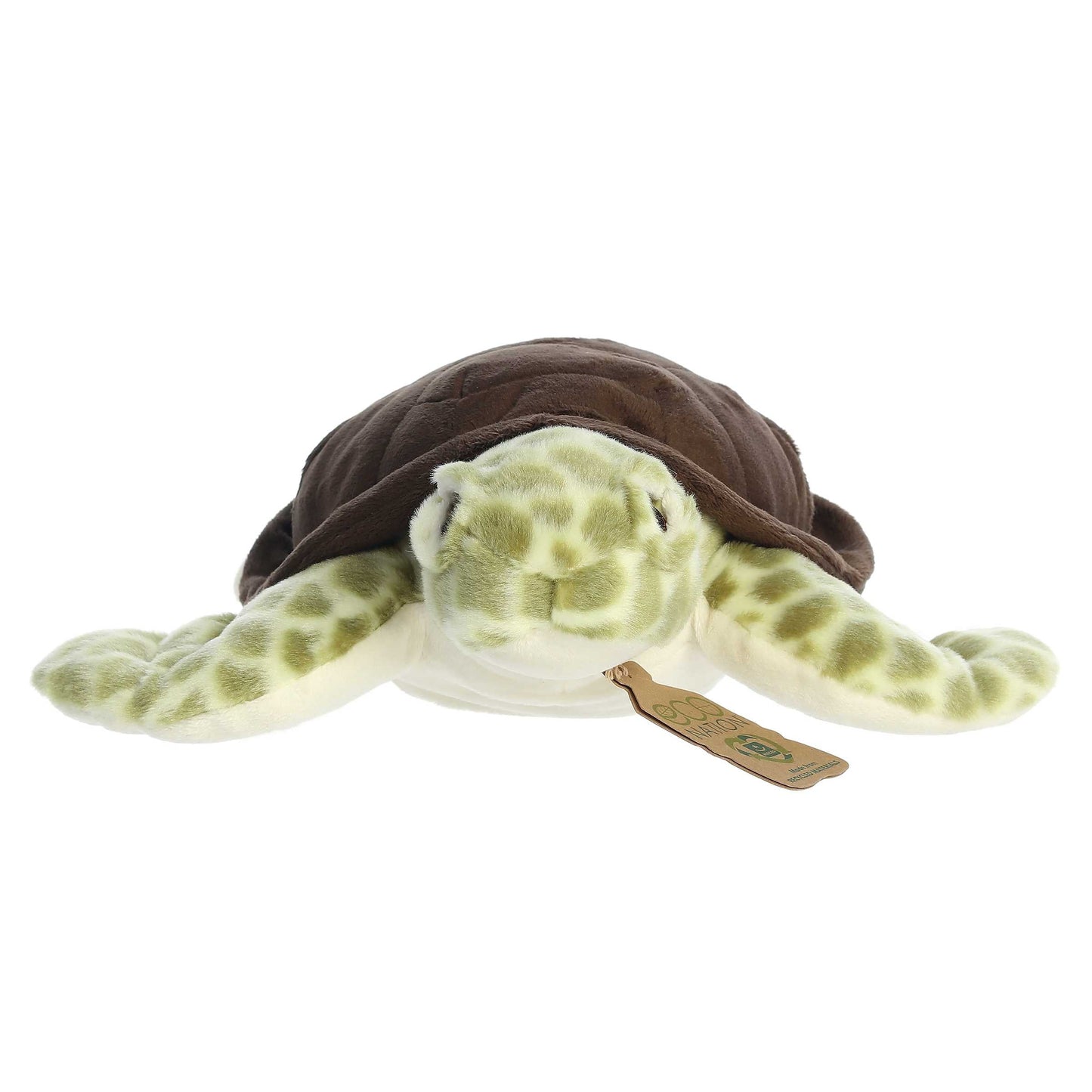 Sea Turtle