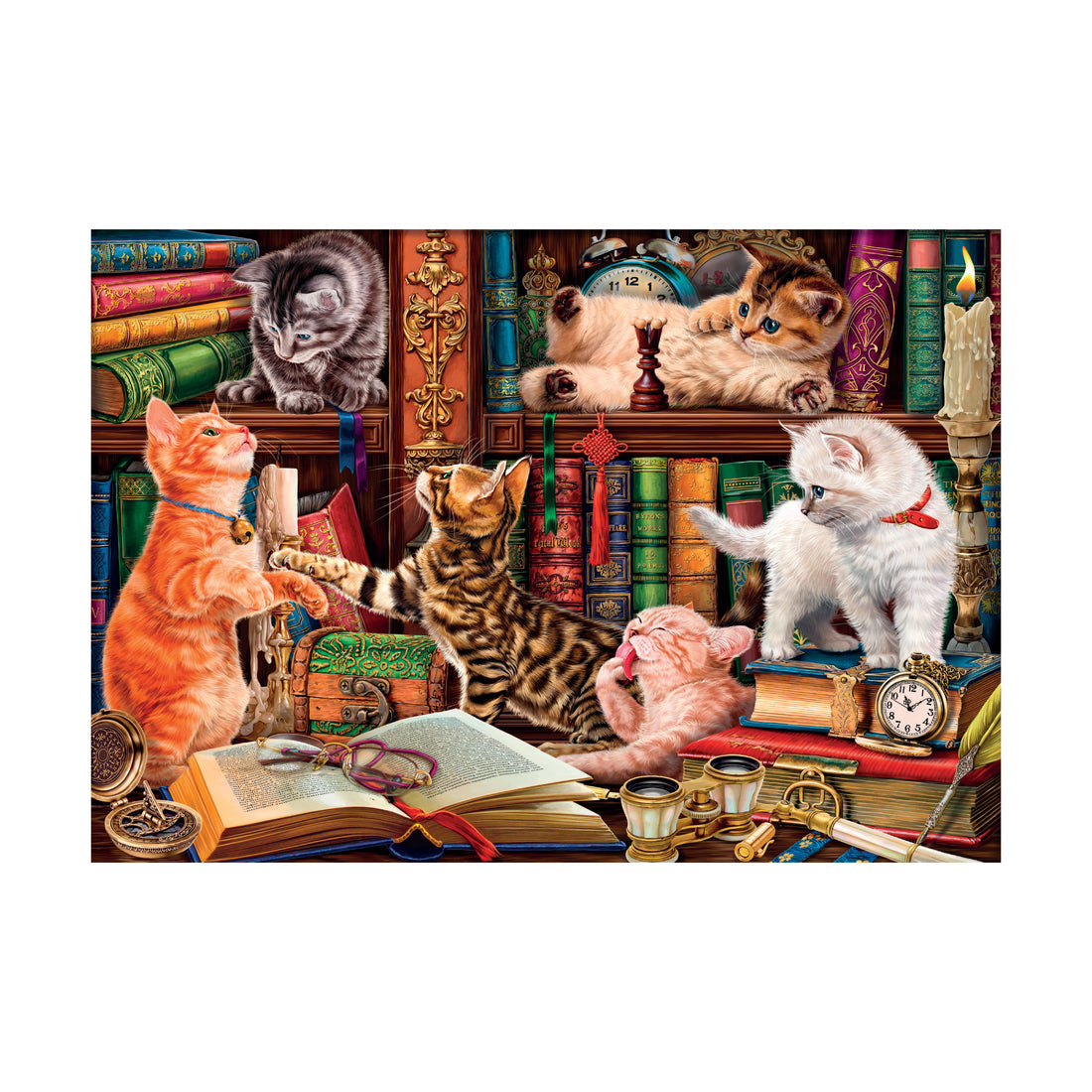 Curious Whiskers 1000pc