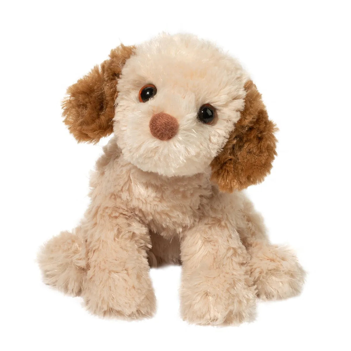 Biscuit Cavapoo Dog
