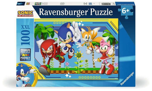 Sonic the Hedgehop 100pc