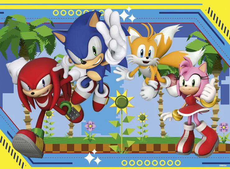 Sonic the Hedgehop 100pc