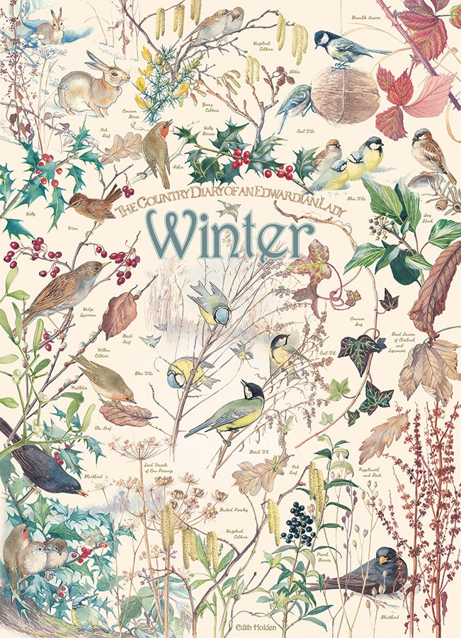 Country Diary: Winter 1000pc