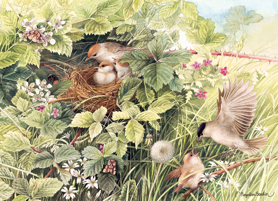 Hidden Nest 1000pc