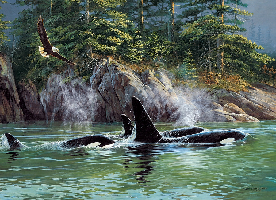 Orcas 1000pc