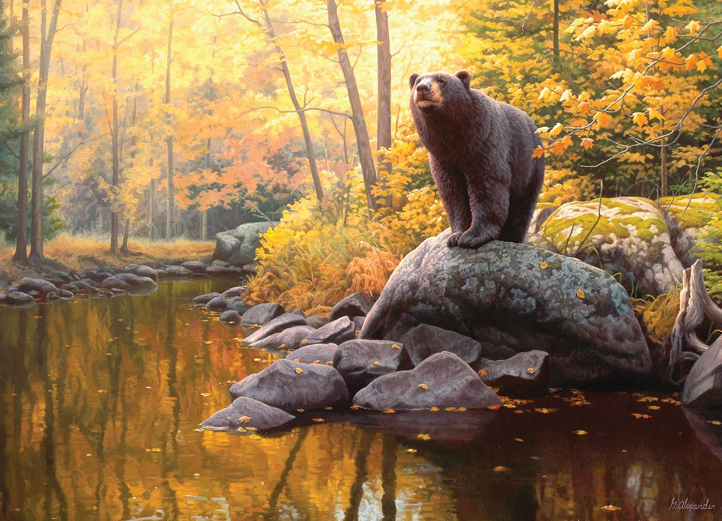 Black Bear Pond 1000pc jigsaw puzzle
