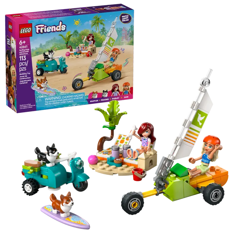 Friends Surfing Dogs and Scooter Adventure