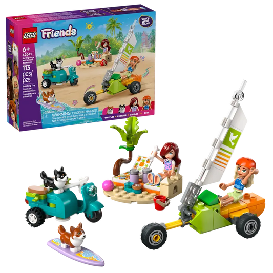 Friends Surfing Dogs and Scooter Adventure